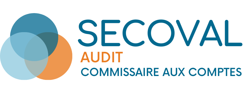 logo audit fonds transparent